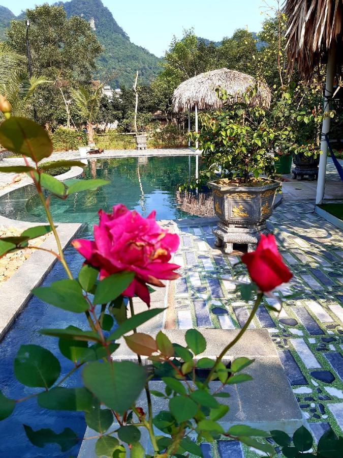 Phong Nha Bolero Bungalow Eksteriør bilde